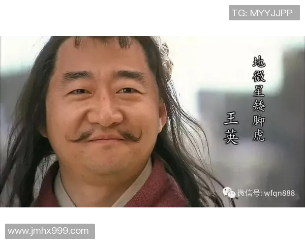 虎啸风云足球场上的带虎绰号明星们的传奇故事