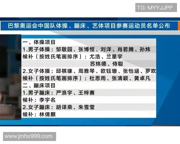 成都排球队逆袭之路揭秘世界杯背后的奋斗与荣耀